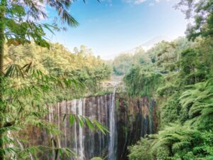 JAVA TOURIM TRAVEL, BROMOECOTOURISM, BROMO SUNRISE TOUR, BROMO IJEN TOUR